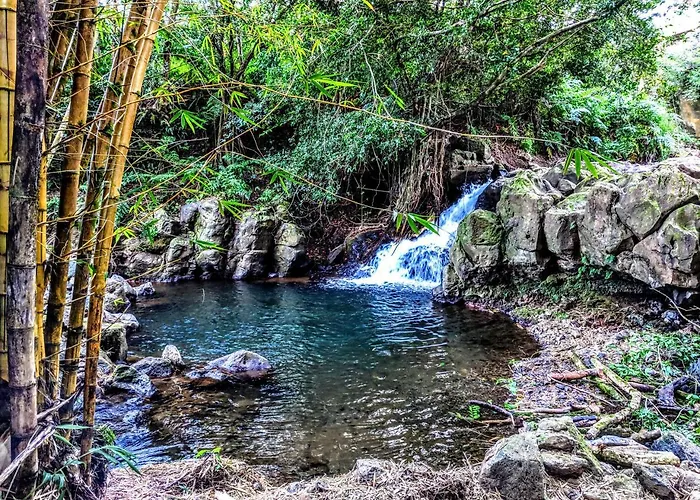 Hamakua Guesthouse